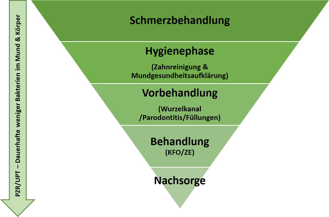 Sanus Kompass zur Mundgesundheit