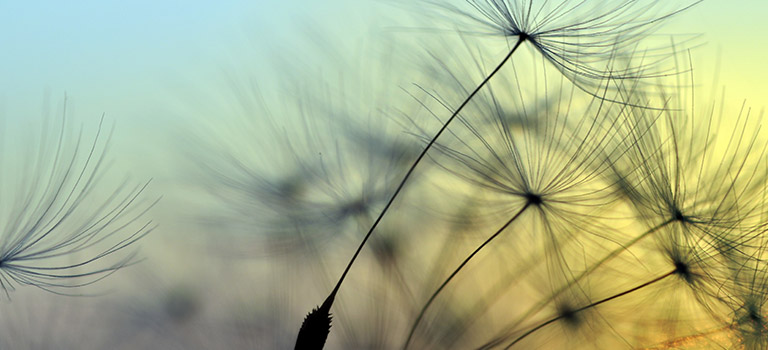 © supertramp8 - stock.adobe.com